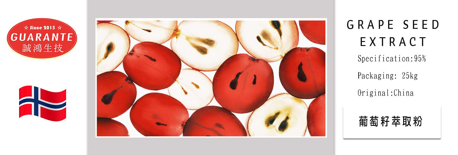 banner 2
